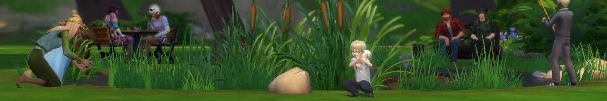 The Sims iFokus