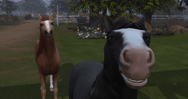 Mitchika spelar TS4 Hästranch-expansionen! 🐴